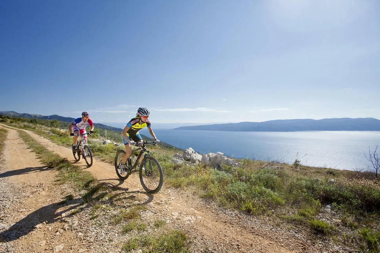 Villa Primela**** Labin  Holiday home Labin (Istria)